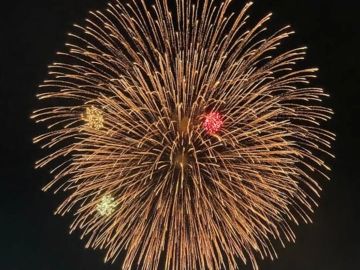 Nous vous souhaitons un excellent réveillon et une très belle année 2025. 🥂

Merci pour votre confiance et en avant pour une nouvelle année pleine de...